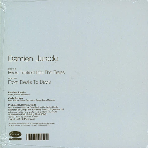 Damien Jurado - Birds Tricked Into The Trees Record Store Day 2020 Edition