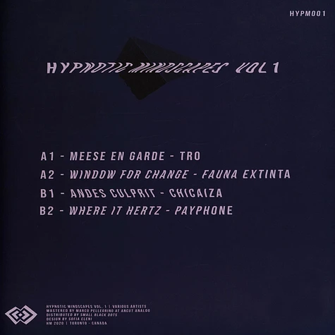 V.A. - Hypnotic Mindscapes Presents Volume 1