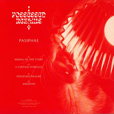 Pasiphae - Possessed Realms