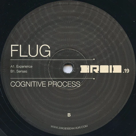 Flug - Cognitive Process