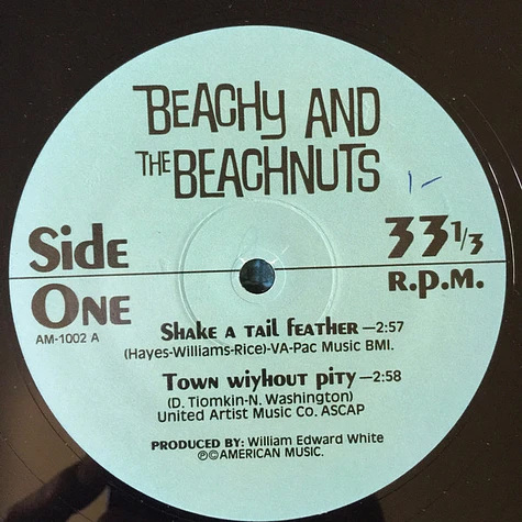 Beachy And The Beachnuts - Town Without Pity