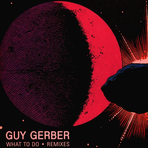 Guy Gerber - What To Do Remixes &Me, DJ Jes Remixes Clear Vinyl Edition