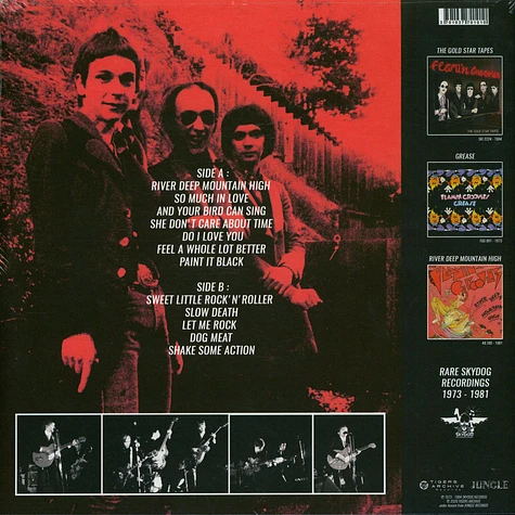 Flamin Groovies - Gold Star, Grease & More