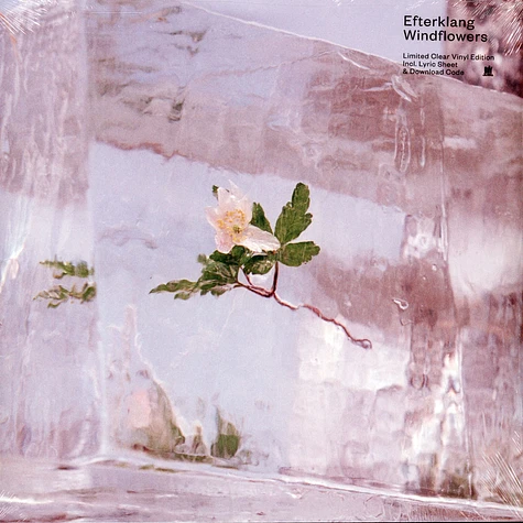 Efterklang - Windflowers Clear Vinyl Edition