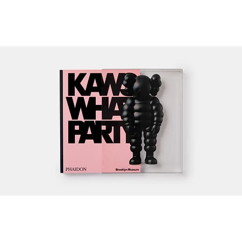 Kaws With Daniel Birnbaum & Eugenie Tsai - What Party