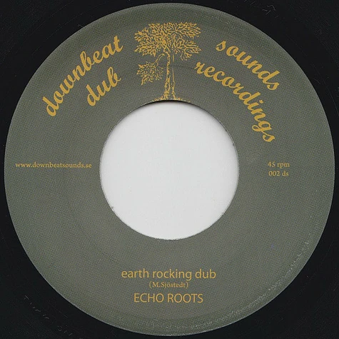 Echo Roots - Earth Rocking
