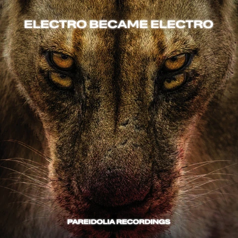 V.A. - Electro Became Electro