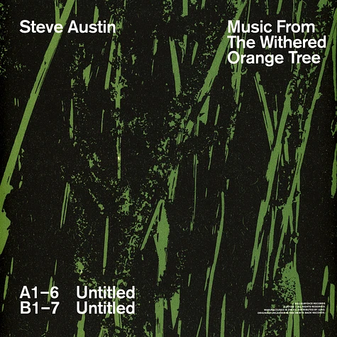 Steve Austin - Music From The Withered Orange Tree