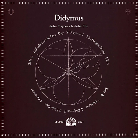John Haycock & John Ellis - Didymus