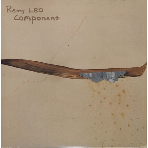 Remy LBO - Component