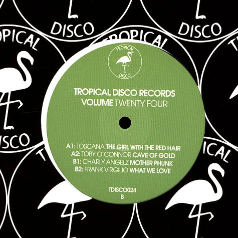 V.A. - Tropical Disco Records Volume 24