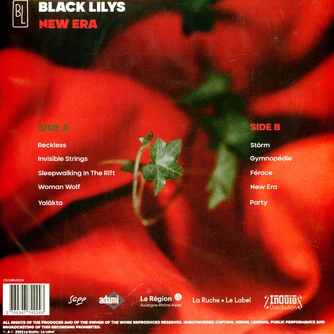 Black Lilys - New Era