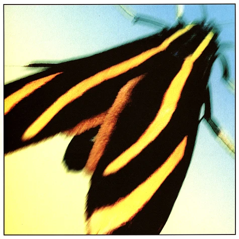 Benedikt Frey - Recall