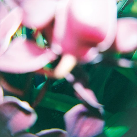 Trade Wind - You Make Everything Disappear Trade Wind - You Make Everything Disappear