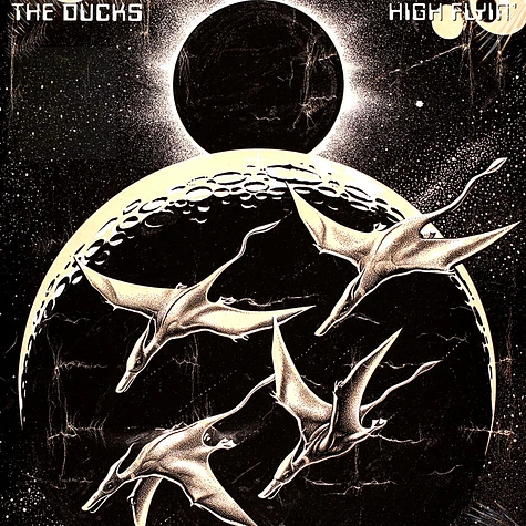 The Ducks - High Flyin'