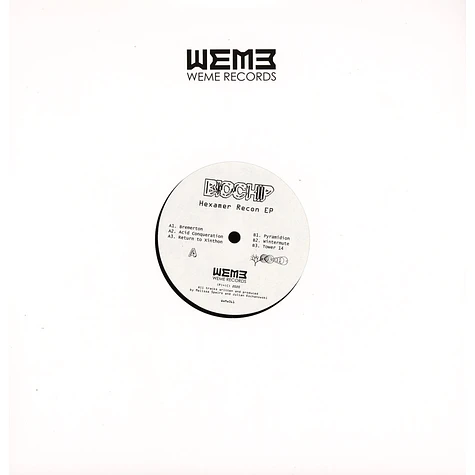 Biochip - Hexamer Recon EP Biochip - Hexamer Recon EP