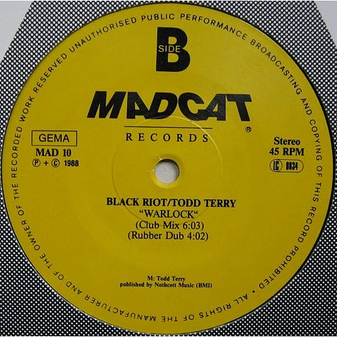 Black Riot / Todd Terry - A Day In The Life (The Europe-Mix)