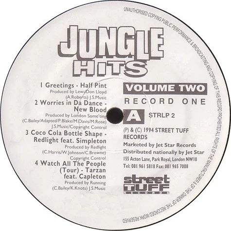 V.A. - Jungle Hits Volume 2