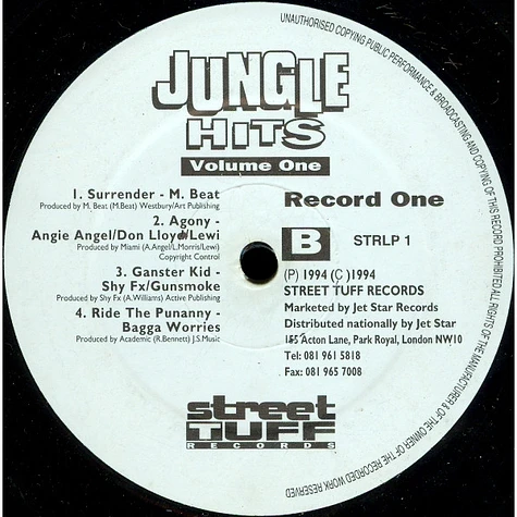 V.A. - Jungle Hits Volume 1