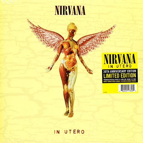 LP】NIRVANA - IN UTERO - 洋楽