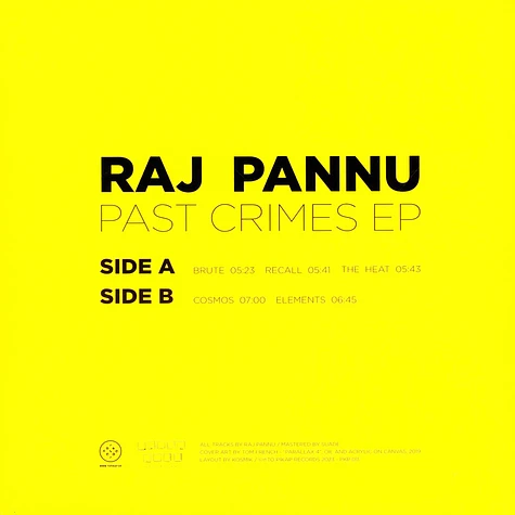Raj Pannu - Past Crimes