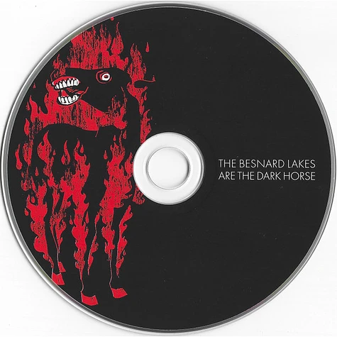 The Besnard Lakes - The Besnard Lakes Are The Dark Horse