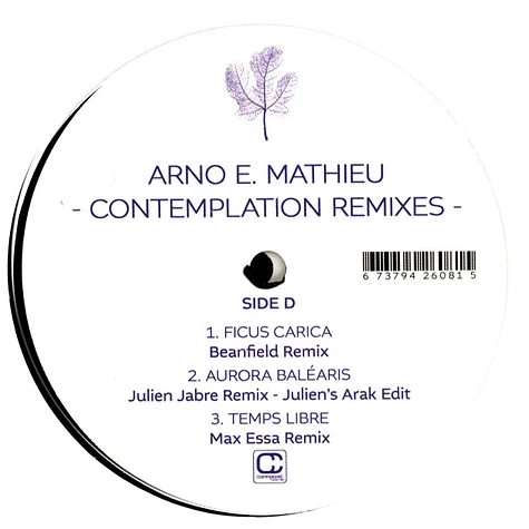 Arno E. Mathieu - Contemplation Remixes