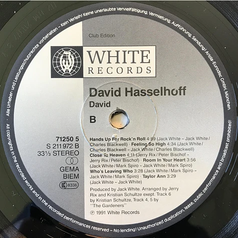David Hasselhoff - David