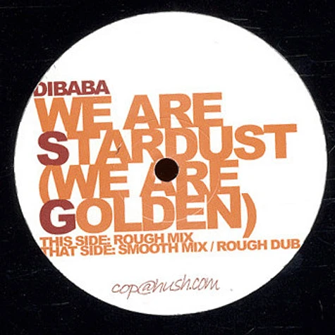 Dibaba - We Are Stardust (We Are Golden)