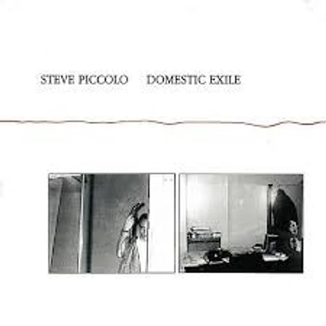 Steve Piccolo - Domestic Exile