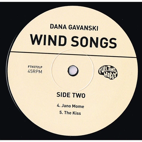Dana Gavanski - Wind Songs
