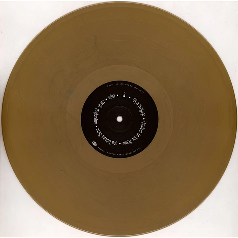 Daniel Rossen of Grizzly Bear - You Belong There Gold Vinyl Edition