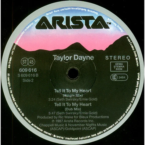 Taylor Dayne - Tell It To My Heart