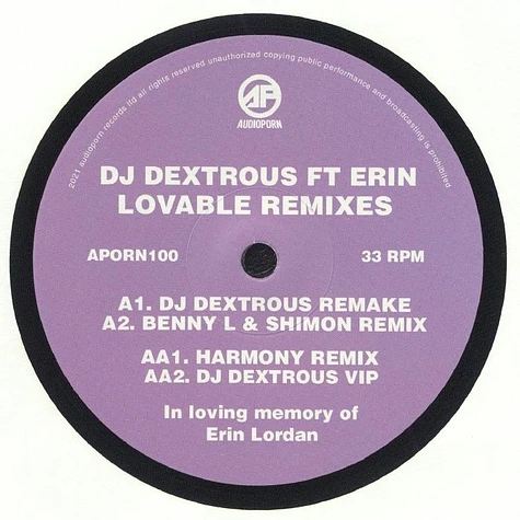 DJ Dextrous Feat. Erin - Lovable Remixes EP