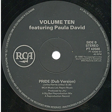 Volume Ten Featuring Paula Davies - Pride (The Selector Mix)