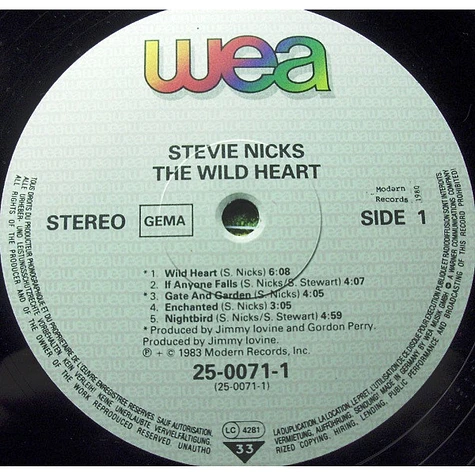 Stevie Nicks - The Wild Heart