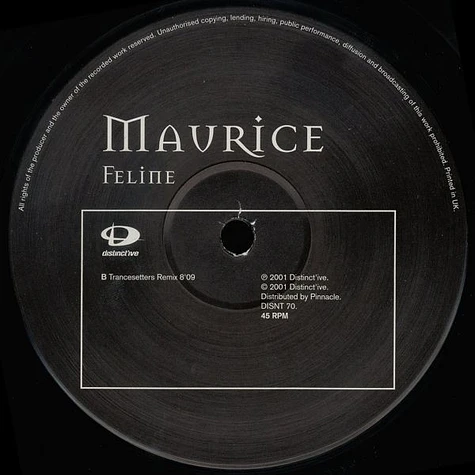 Maurice - Feline