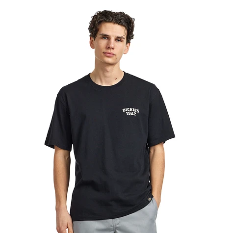 Dickies - Mechanic SS Tee