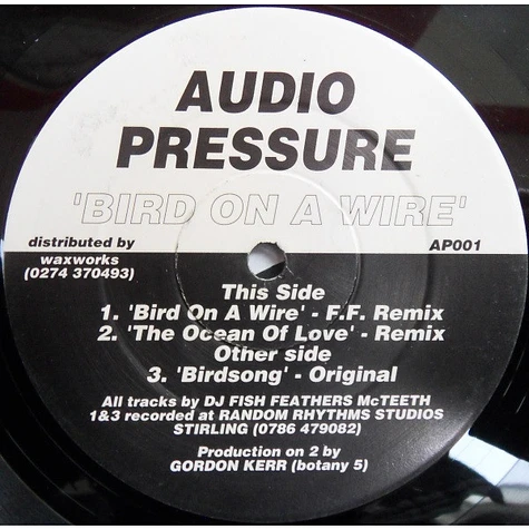 Audio Pressure - Bird On A Wire