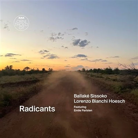 Ballake Sissoko & Lorenzo Bianchi Hoesch - Radicants