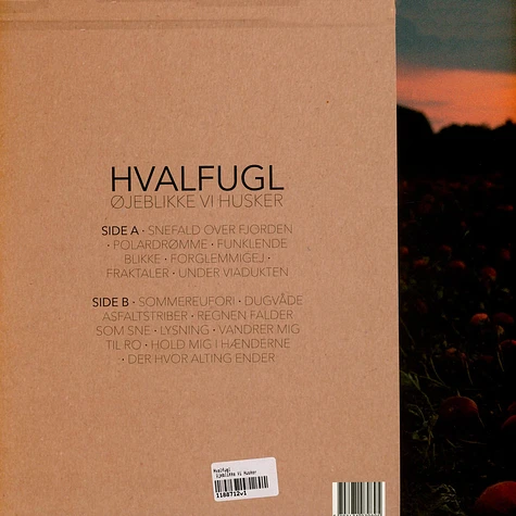 Hvalfugl - Øjeblikke Vi Husker