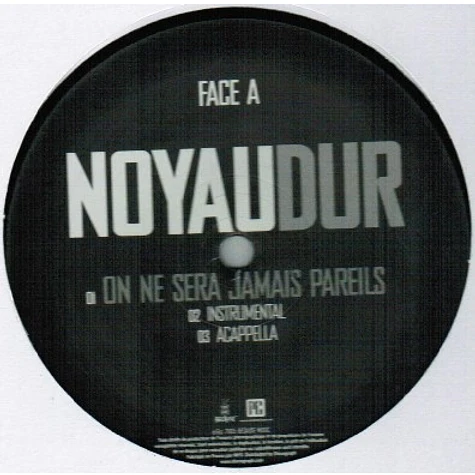 Le Noyau Dur - On Ne Sera Jamais Pareils / Professionnels