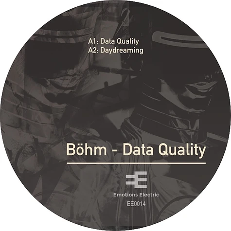 Böhm - Data Quality