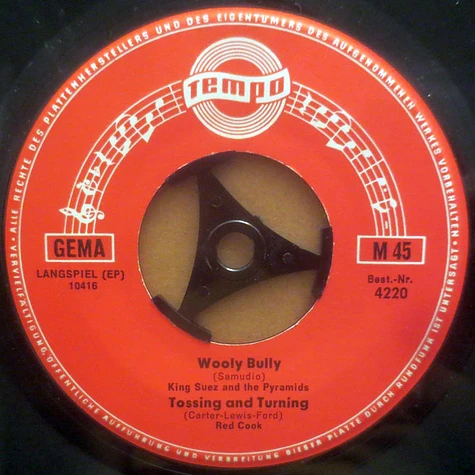 V.A. - Wooly Bully / Tossing And Turning / Help / Mr. Tambourine Man