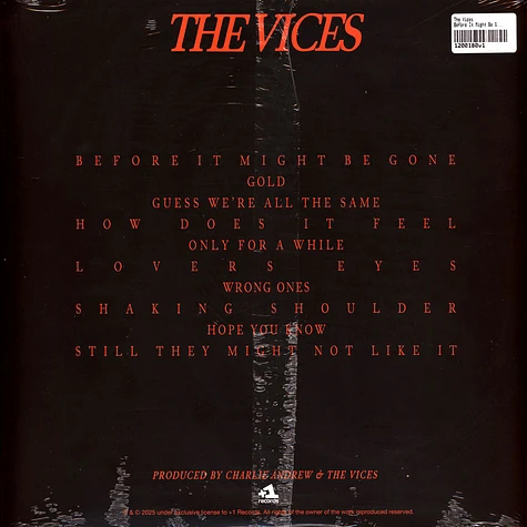 The Vices - Before It Might Be Gone Eco Mix Orange Vinyl Edition