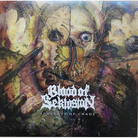 Blood Of Seklusion - Servants Of Chaos