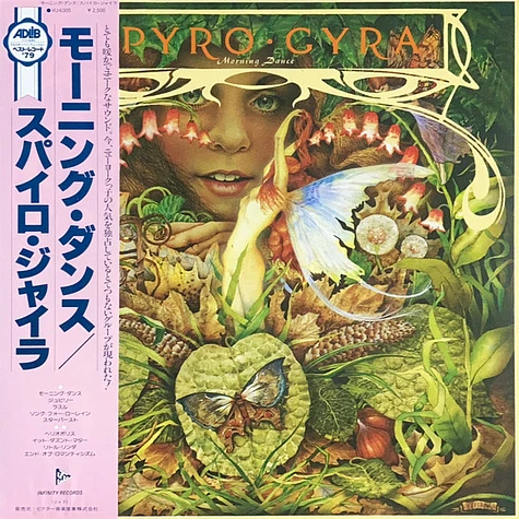 nobiSpyro Gyra - Morning Dance