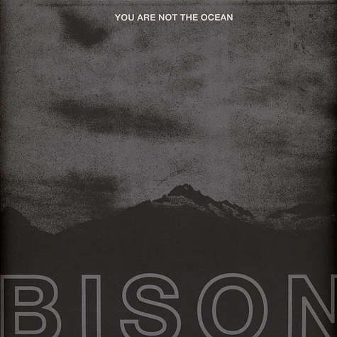 Bison - You Are Not The Ocean You Are The Patient Clear Vinyl Edition