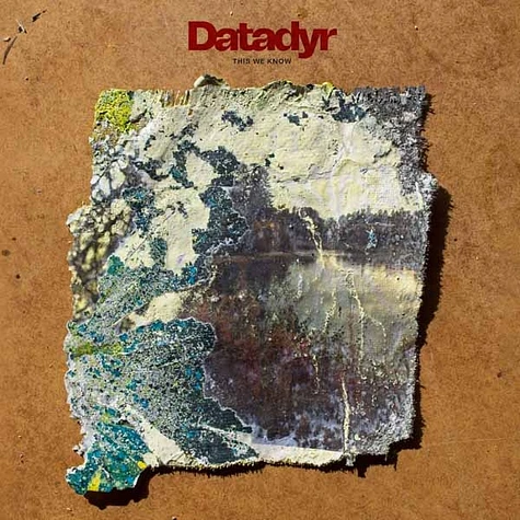 Datadyr - This We Know Random Colored Vinyl Edition