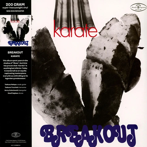 Breakout - Karate
